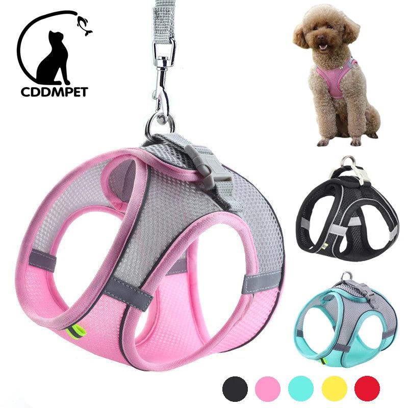 adjustable-harness-leash-set-for-dog-cat-outdoor-walking-lead-leash